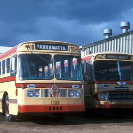 John Ward Collection - Buses 