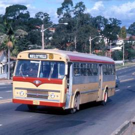 John Ward Collection - Buses