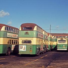 John Ward Collection - Buses