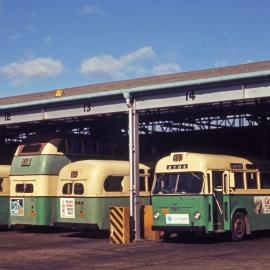 John Ward Collection - Buses