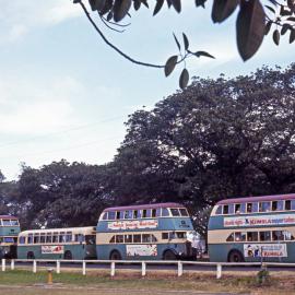 Buses returning from Royal Easter Show, 1968 