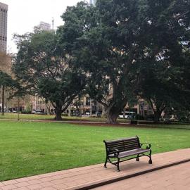 Empty benches in Hyde Park Sydney during Covid-19 pandemic, 2020