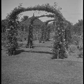 Rose Garden, Dickens Drive Centennial Park, 1937