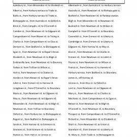 Transcript - Sands Postal Directory, Newtown entries, 1870