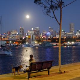 Woman with dog sitting on bench in Blackwattle Bay Park at night, Glebe, 2014