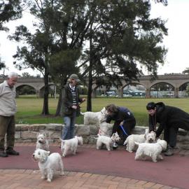 Group of people with terriers sitting on a wall in Federal Park, Glebe, 2007 