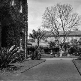 Ivy covered stone building and path leading to a two storey building, unknown location, no date