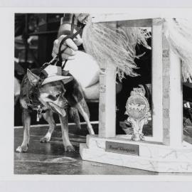 She's so BUTCH winner at the dog show, Mardi Gras Fair Day, Jubilee Park Glebe, 1997
