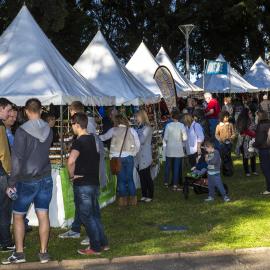 The Market place at NAIDOC In The City, Hyde Park, 2014