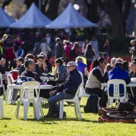 Crowds enjoying the celebrations, NAIDOC In The City, Hyde Park, 2014