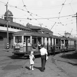 Tram outside Sydney Showground Driver Avenue Moore Park, 1954