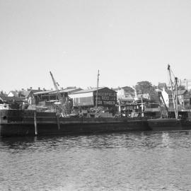Blackwattle Bay Glebe, 1968