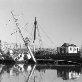 Blackwattle Bay Glebe, 1968