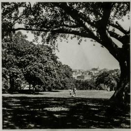 Royal Botanic Gardens, Sydney, circa 1938
