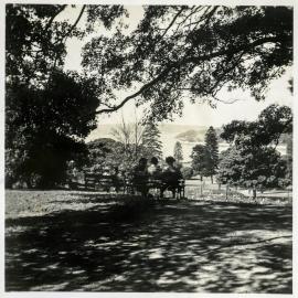 Enjoying the view from the Royal Botanic Gardens, Sydney, circa 1938