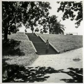 The Fleet Steps, Royal Botanic Gardens Sydney, circa 1937-1938