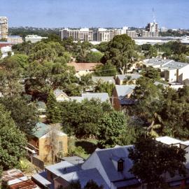 Terrace houses and backyards, Pitt Street Waterloo, 2000