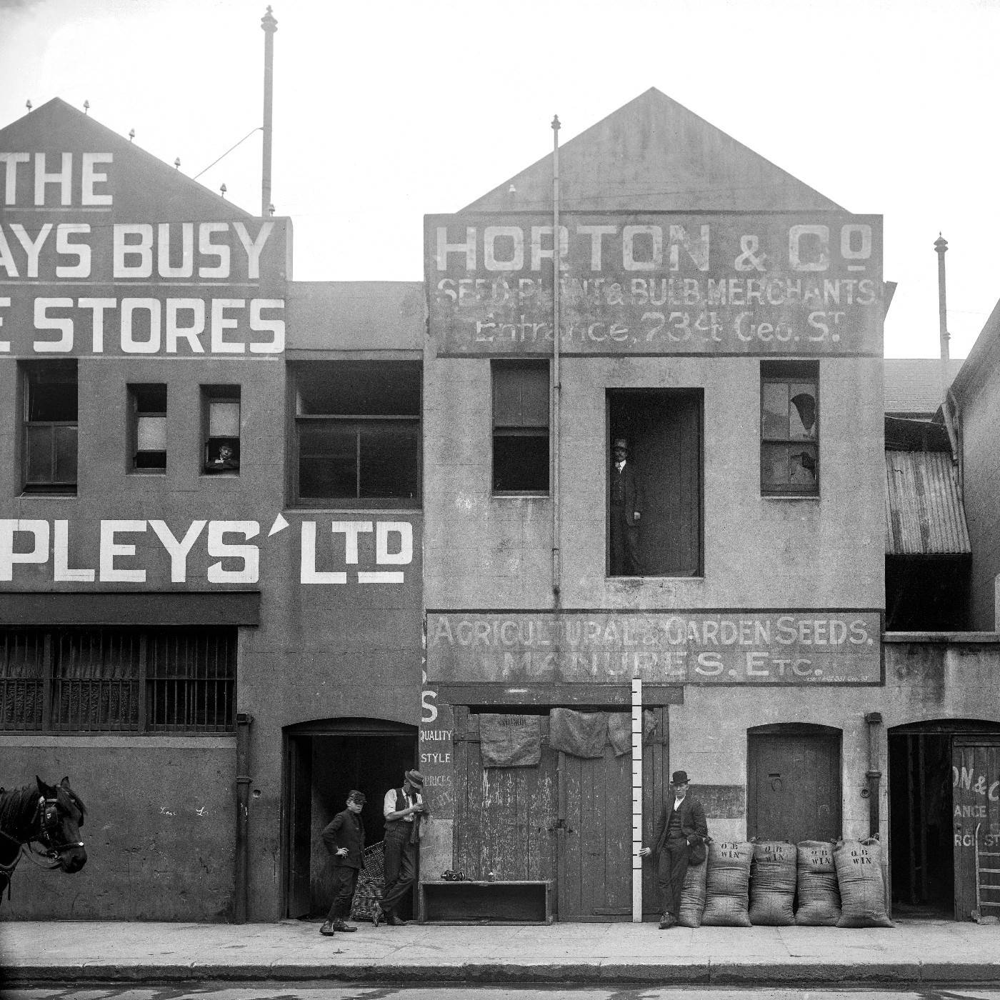 Demolition Books - Glass Negatives