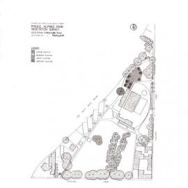 Plan - Vegetation survey Prince Alfred Park, Chalmers Street Surry Hills, 1989