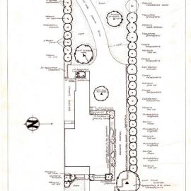 Plan - Proposed garden layout for an aged amenities centre, Pitt Street Redfern, 1959