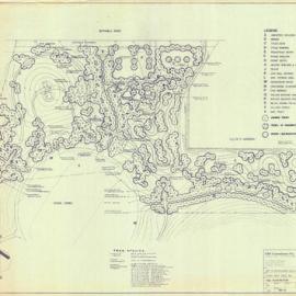 Plan - Tree planting plan, Sydney Park stage two, Mitchell Road Alexandria, 1984