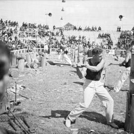 Site Fence Image - Wood chopping, Sydney Royal Easter Show, Driver Avenue Moore Park, 1939