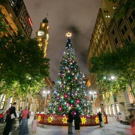 Martin Place Christmas tree fully lit, 2008