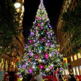 The Christmas tree at the Martin Place concert, 2009