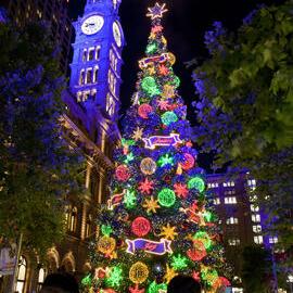 The Christmas tree at Martin Place, 2012