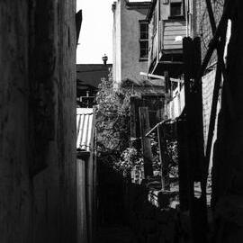 Unidentified laneway in Surry Hills, 1976