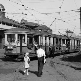 Site Fence Image - Sydney Showground, Driver Avenue Moore Park, 1954