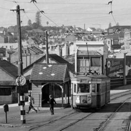 Fascia Image - Gurner Street, view south-east at Cascade Street Paddington, 1959