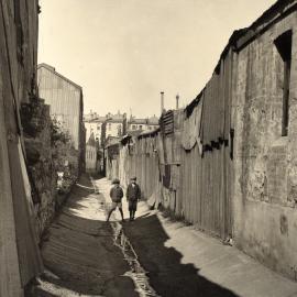 Site Fence Image - Blackwattle Resumption, between Broadway, Bay Street and Blackwattle Lane Ultimo, circa 1906