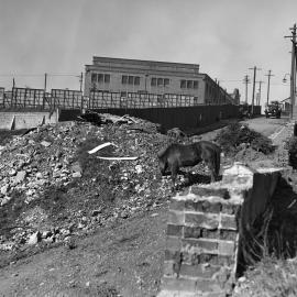 Refuse tip, Frederick Street Camperdown, 1927