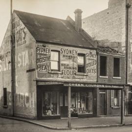 Site Fence Image - Elizabeth Street at Beattie Lane Surry Hills, 1927