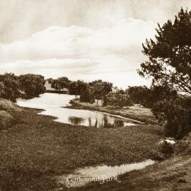 View of Centennial Park Sydney, circa 1910