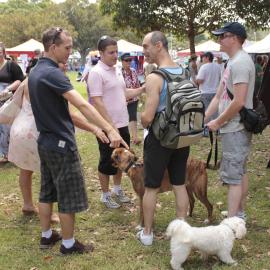 Meeting ups with chat about their pets, Victoria Park, Mardi Gras Fair Day, 2012