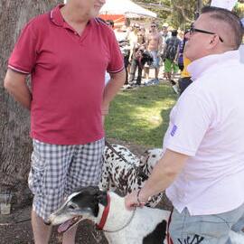 Dog owners chat, Victoria Park, Mardi Gras Fair Day, 2012