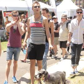 Schnauzer with owners looking for something, Victoria Park, Mardi Gras Fair Day, 2012