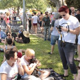 Setting up picnic in the shade, Victoria Park, Mardi Gras Fair Day, 2012