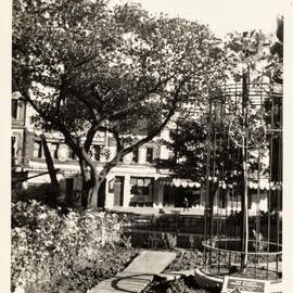 Tree planted by Her Majesty Queen Elizabeth II during royal visit, Loftus Street Sydney, 1954