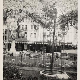 Tree planted by His Royal Highness the Duke of Edinburgh during royal visit, Loftus Street Sydney, 1954