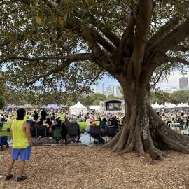 Crowd of people under a large fig tree at Yabun Festival, Victoria Park Camperdown, 2023