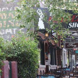 Cafes and shops among the trees on Glebe Point Road, Glebe, 2018