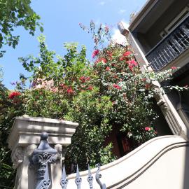 Front garden of terrace in Glebe Point Road, Glebe, 2018