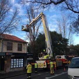 Workemen around the cherry picker, Glebe Point Road, Glebe, 2018