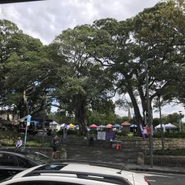 Artisans Market, Dr H.J. Foley Rest Park, Glebe Point Road, Glebe, 2021