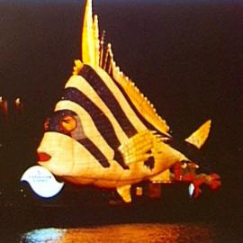 Sea creatures floating lantern: large Angel fish