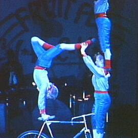 Flying Fruit Fly Circus 1990