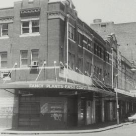 Fancy Plants - East Coast Providores, Thomas Street Haymarket, 1979